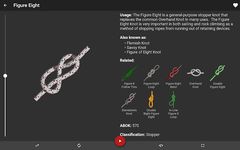 Скриншот 3 APK-версии Узлы 3D  ( Knots 3D )