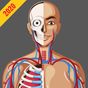 Icono de Anatomy Guide (Pocket Book)