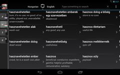 Dictionary Hungarian English zrzut z ekranu apk 4