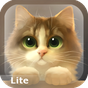 Εικονίδιο του Tummy The Kitten Lite apk