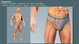 Imagem 4 do Easy Acupuncture 3D -LITE