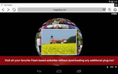 Photon Flash Player & Browser ảnh số 5