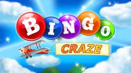 Bingo Craze screenshot apk 6