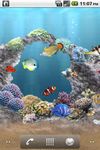 Скриншот 1 APK-версии aniPet Aquarium Live Wallpaper
