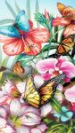 Hintergrundbild Schmetterling ღ Live Hintergründe Screenshot APK 6