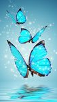 Hintergrundbild Schmetterling ღ Live Hintergründe Screenshot APK 2