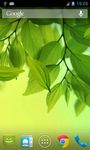 Captură de ecran Leaf Live Wallpaper apk 3