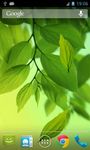 Captură de ecran Leaf Live Wallpaper apk 2