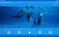 Скриншот  APK-версии отдохнуть океан: звуки природы