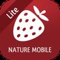 Wild Berries and Herbs 2 LITE APK