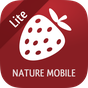 Wilde Beeren und Kräuter 2 APK