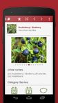 Wild Berries and Herbs 2 LITE image 15