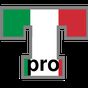 Italian Verb Trainer Pro アイコン