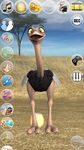 Talking Joe Ostrich screenshot apk 8