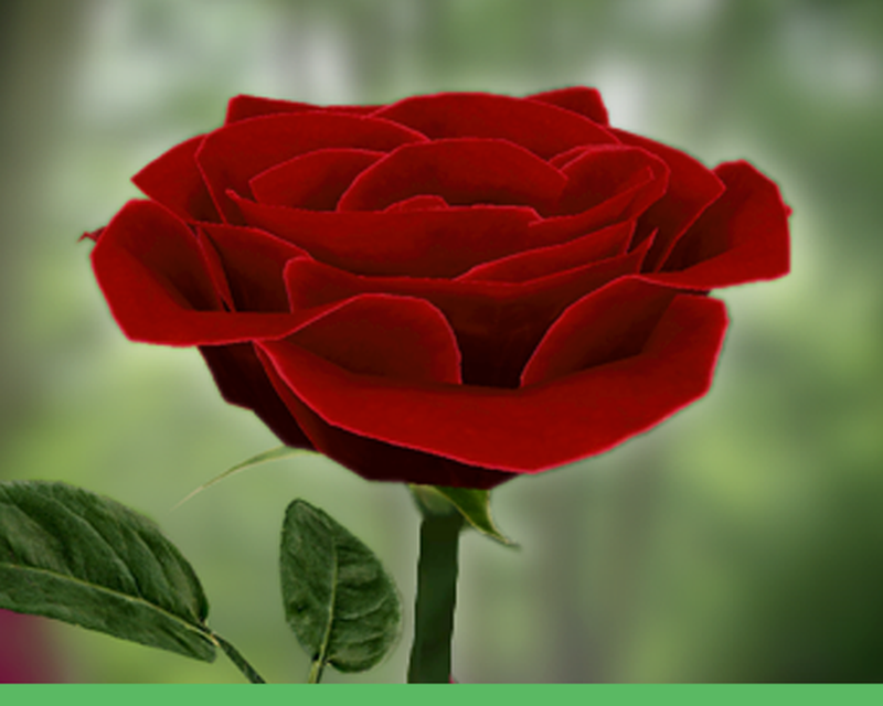 3d Wallpaper Rose For Android Image Num 8