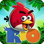 Icône apk Angry Birds Rio
