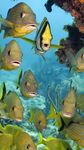 Sea Life Live Wallpaper imgesi 1