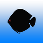 Aquarium Rechner Icon