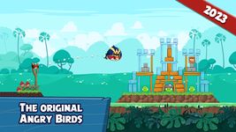 Angry Birds Friends capture d'écran apk 22