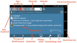 MiniBrowser PRO zrzut z ekranu apk 1