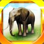 REAL ANIMALS HD (Full) icon