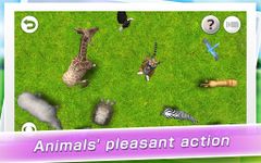 REAL ANIMALS HD (Full) screenshot apk 13