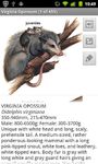 Tangkapan layar apk Mammals of North America 5