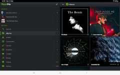 PlayerPro Music Player Trial ekran görüntüsü APK 