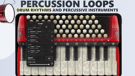 Accordion Piano capture d'écran apk 2