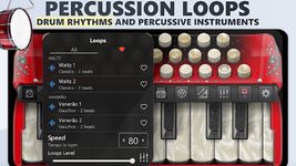 Accordion Piano capture d'écran apk 8