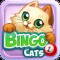 Ícone do apk Bingo Cats