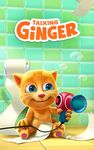 Konuşan Ginger ekran görüntüsü APK 14