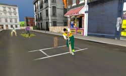 Street Cricket image 5