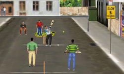 Street Cricket image 2