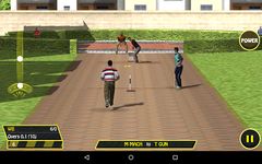Street Cricket image 1
