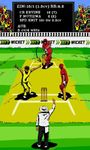 Hit Wicket Cricket 2017 World image 1