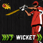Ícone do apk Hit Wicket Cricket 2017 World