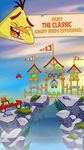 Картинка 7 Angry Birds Seasons