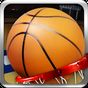 Baloncesto Basketball