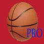 Ikona Basketball Stats Pro