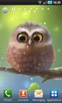 Captura de tela do apk Little Owl 6