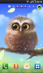 Little Owl capture d'écran apk 1