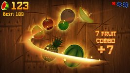 Tangkap skrin apk Fruit Ninja® 14