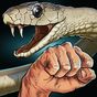 Money or Death - snake attack! APK