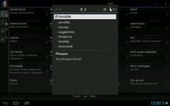 Screenshot  di BK Dictionary French Italian apk