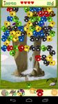 Koala Bubble Shooter Bild 4