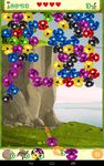 Koala Bubble Shooter Bild 6