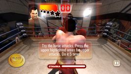 Captura de tela do apk Iron Fist Boxing 2