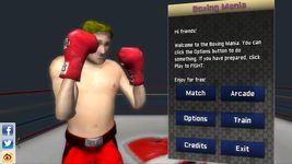 Boxing Mania の画像5