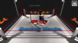 Boxing Mania の画像2